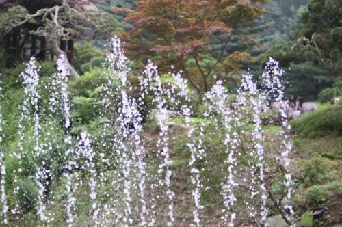 아침고요수목원