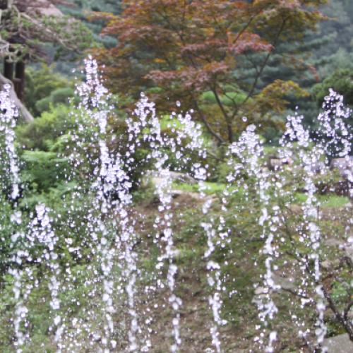 아침고요수목원