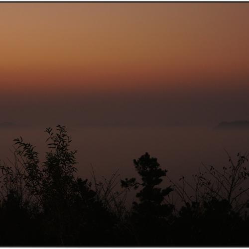 내일을 기약하며