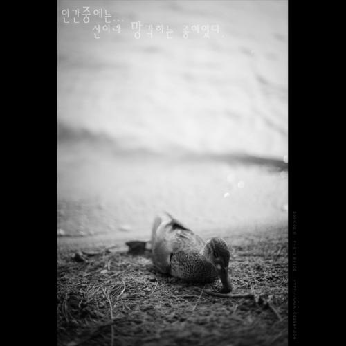 찍지 말았어야 할 사진....