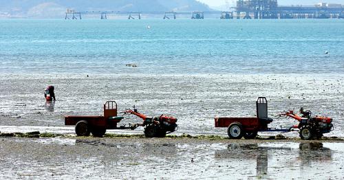 남해 소경........