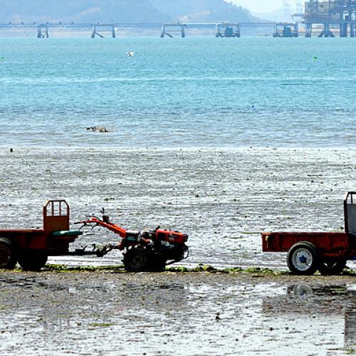 남해 소경........