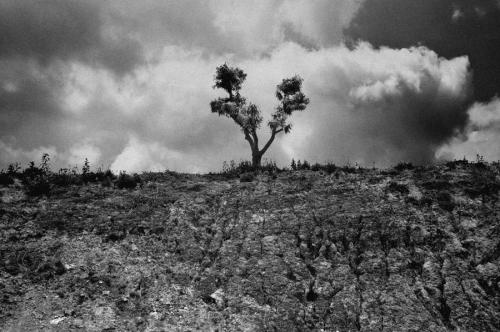 공주 부근에서..