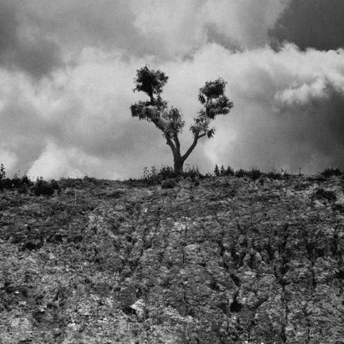 공주 부근에서..