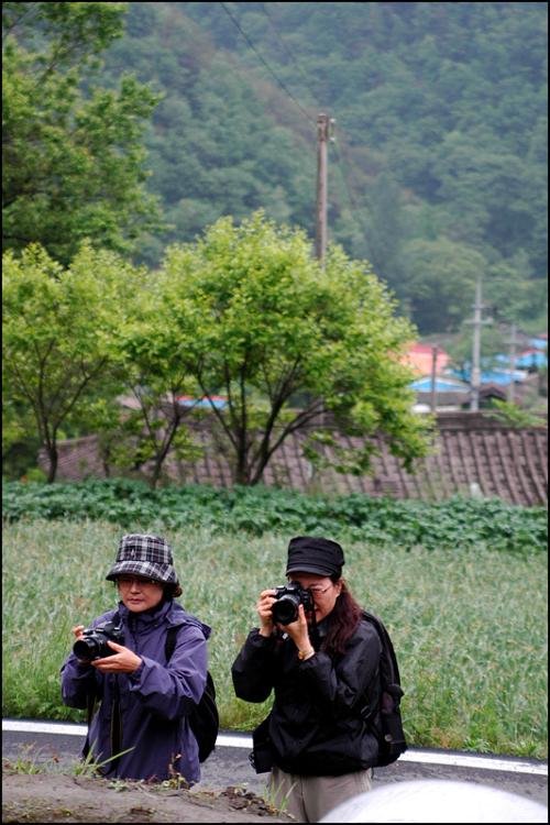 라일락님과 들꽃님