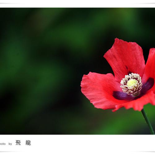 오늘 아침엔57탄