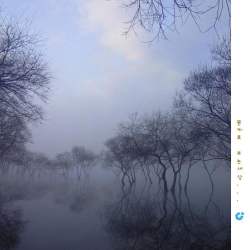 폰카로 즐겨본다...