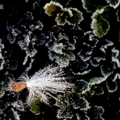 오늘 아침엔134-2탄(서리)