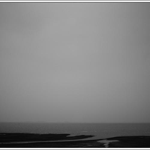 바라보기........