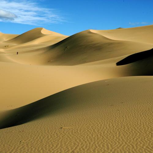 I have a dream.............