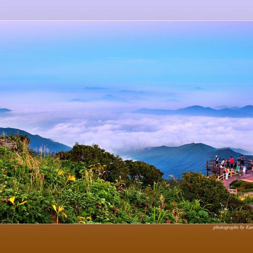 이렇게 비가내릴때면 그곳 그아침이 그립다