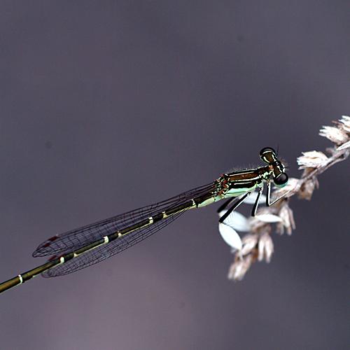 오늘 아침엔182탄