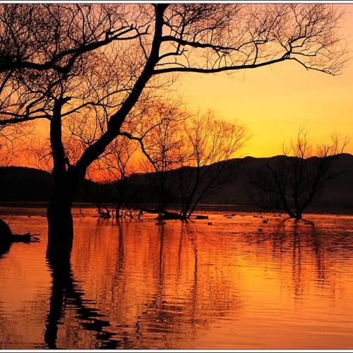 아름다운 우리강산 동판 저수지 여명