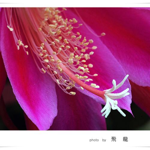 오늘 아침엔 58탄