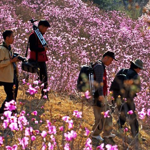 1년전의 복수면 신대리