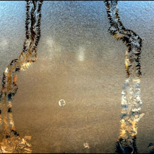 겨울이 준 선물