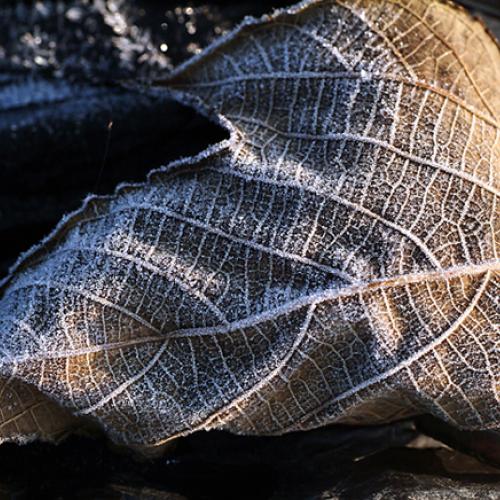 오늘 아침엔136-2탄