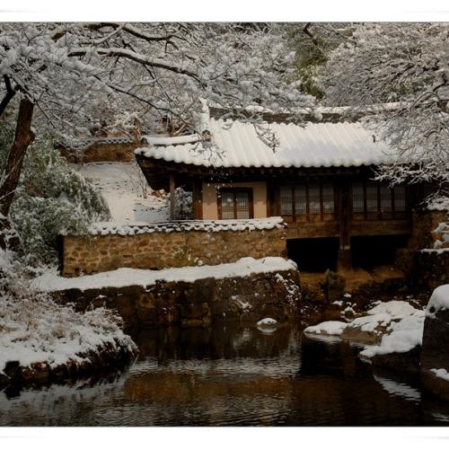 남간정사의 겨울