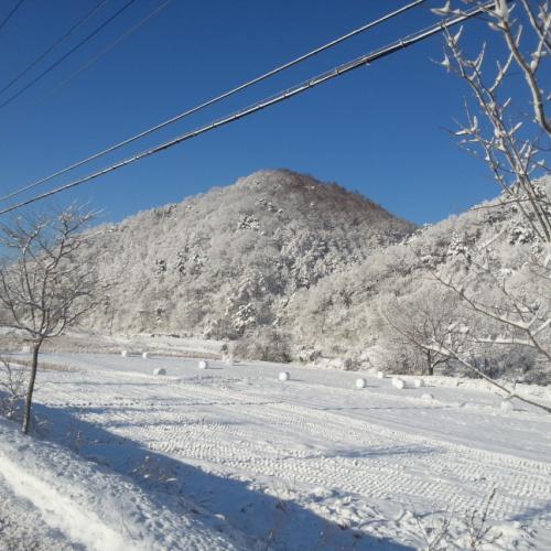 정말 오랜만에 생존신고 드립니다.