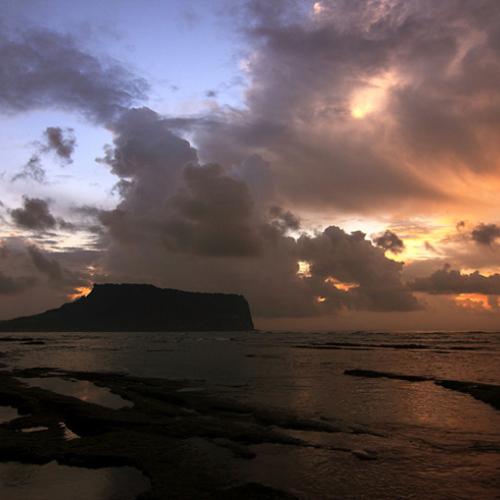 제5회 전시회 개별작품