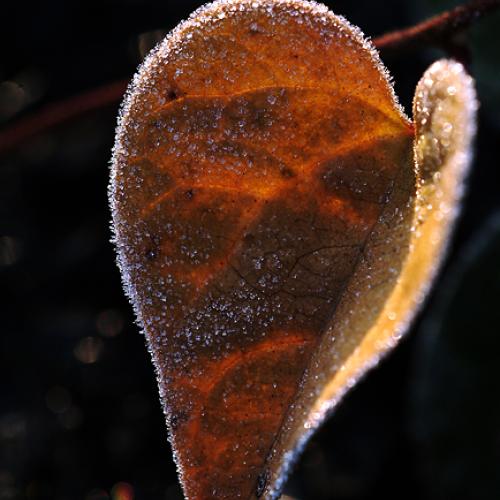 오늘 아침엔136-3탄