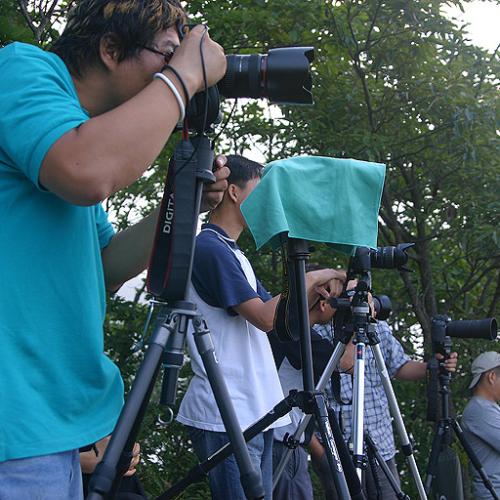 기다려도 기다려도....