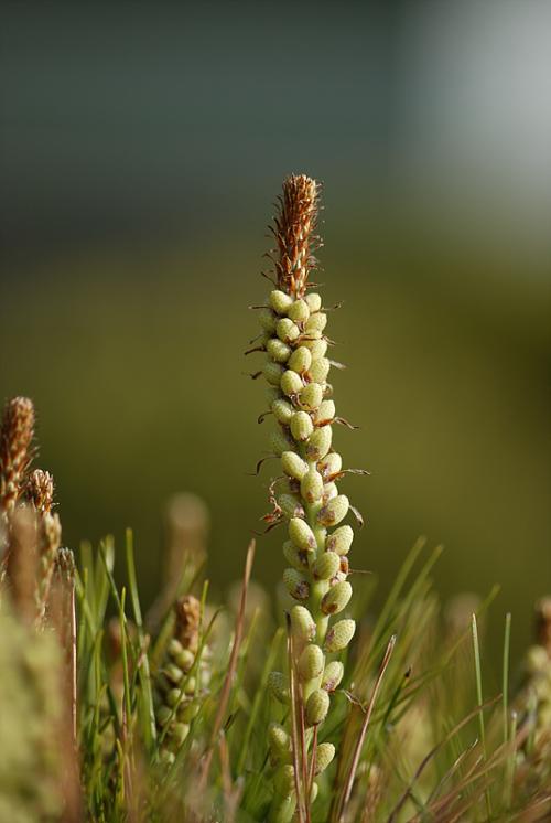 아침 학교 주위에서.....