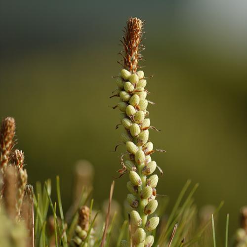 아침 학교 주위에서.....