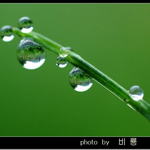 오늘 아침엔32탄(연작2)