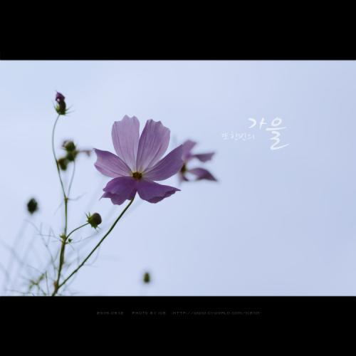 또한번의 가을....