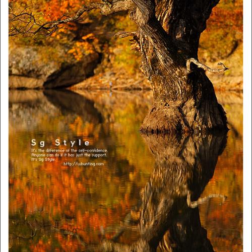 가을에 물든 주산지