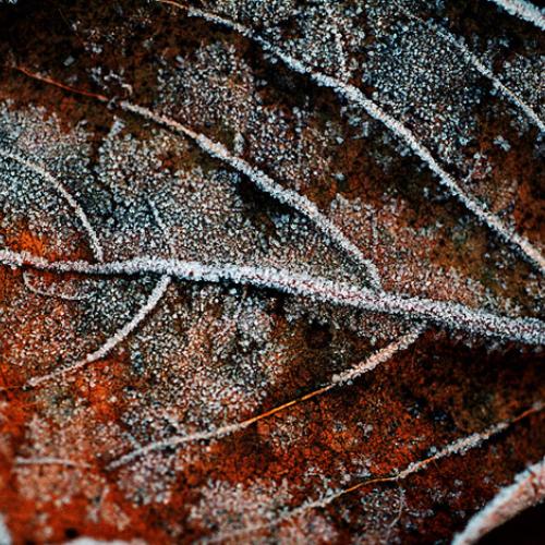 오늘 아침엔133-2탄