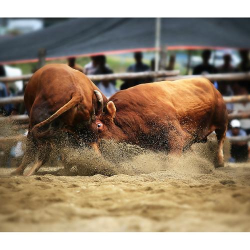 그들만의 리그...