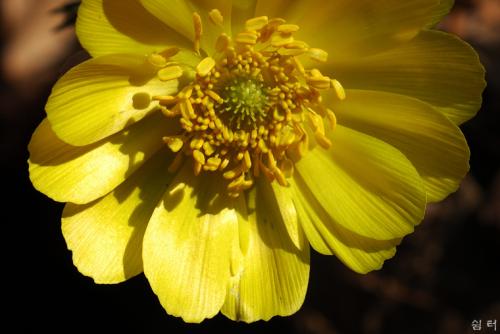 탐론 180mm 매크로 테스트