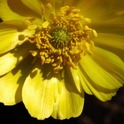 탐론 180mm 매크로 테스트