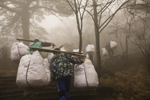황산에 갔더니...