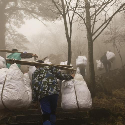 황산에 갔더니...