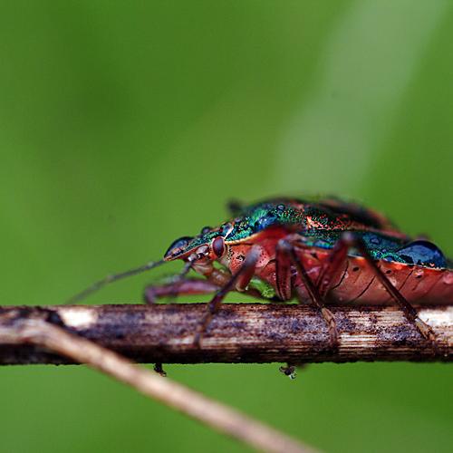 오늘 아침엔184탄(연작)