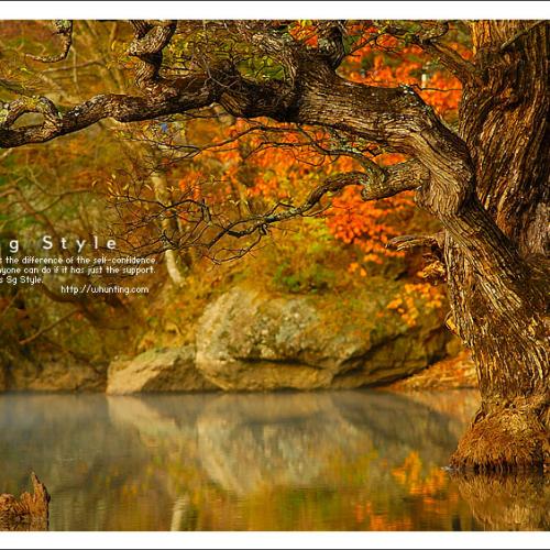 가을에 물든 주산지 II