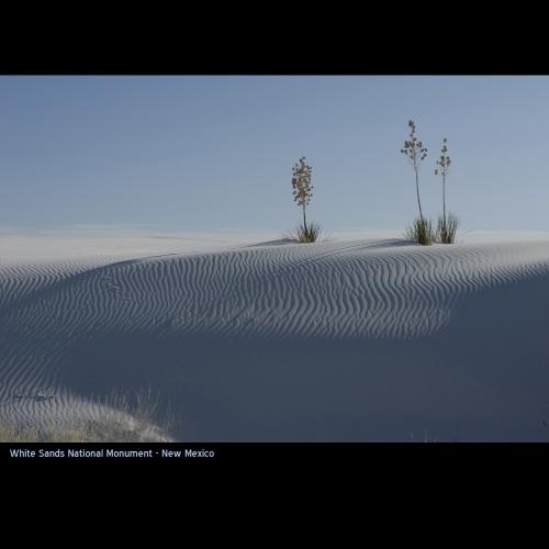 흰 모래의 언덕