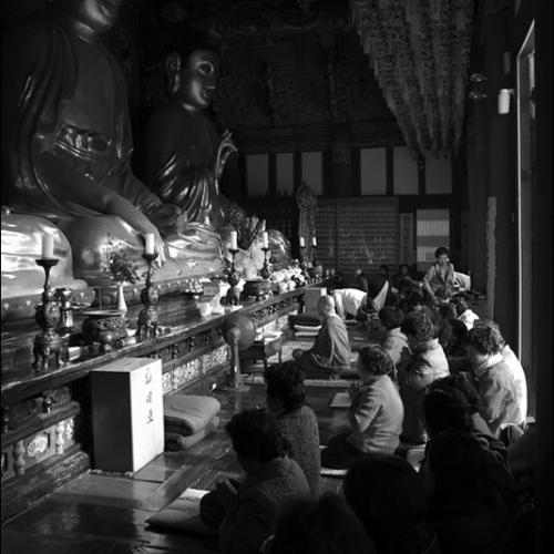 길을 묻는 그대에게