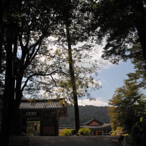 9월 정기출사...