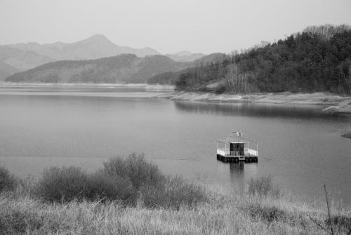 작년 이때쯤의 대청호