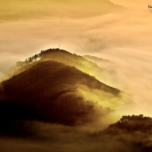 내 마음의 풍경