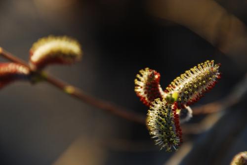 어째 사진이 더