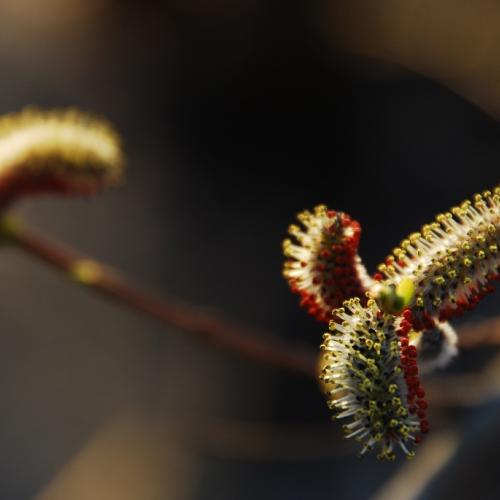 어째 사진이 더