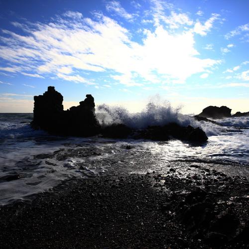 역광속의 파도...