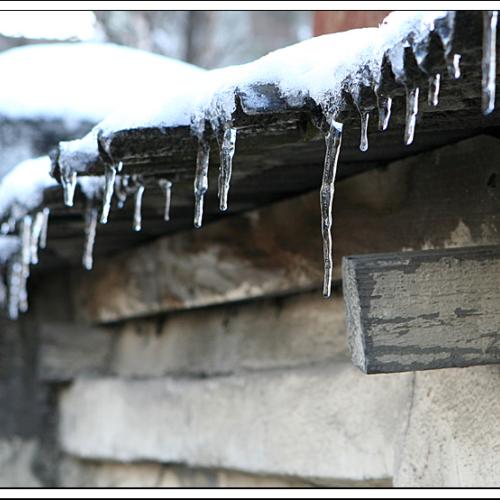 그 옛날의 아이스께기
