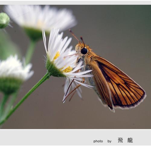 오늘 아침엔 62탄