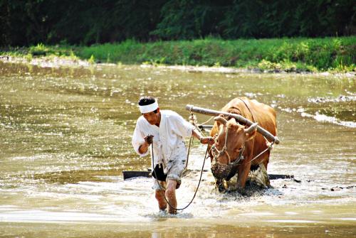 증평모임 몇개...
